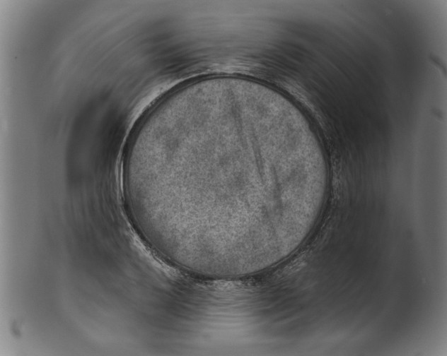 X0000100901032200807220947