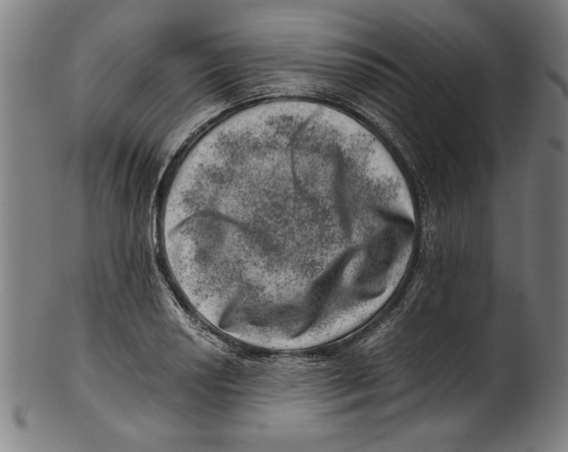 X0000100901034200807220947