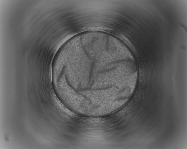 X0000100901036200807220947