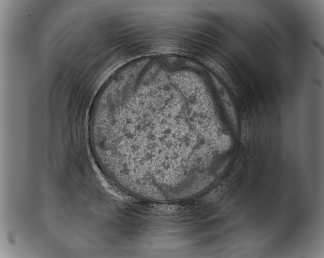 X0000100901039200807220947