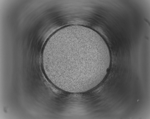 X0000100901040200807220947