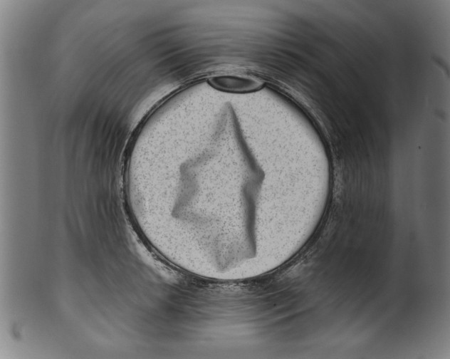 X0000100901042200807220947