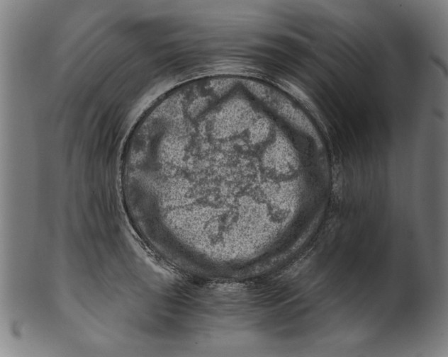 X0000100901043200807220947