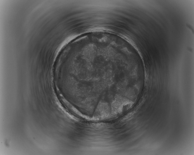 X0000100901045200807220947