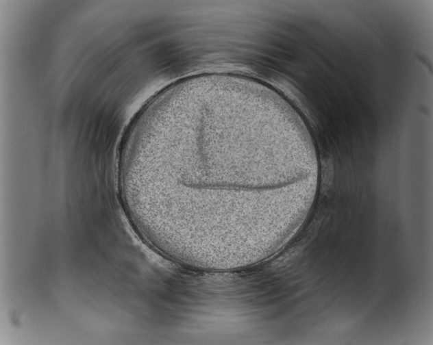 X0000100901046200807220947