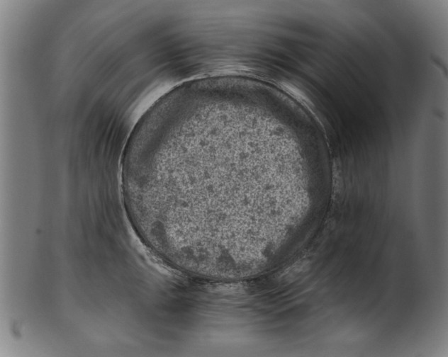 X0000100901047200807220947