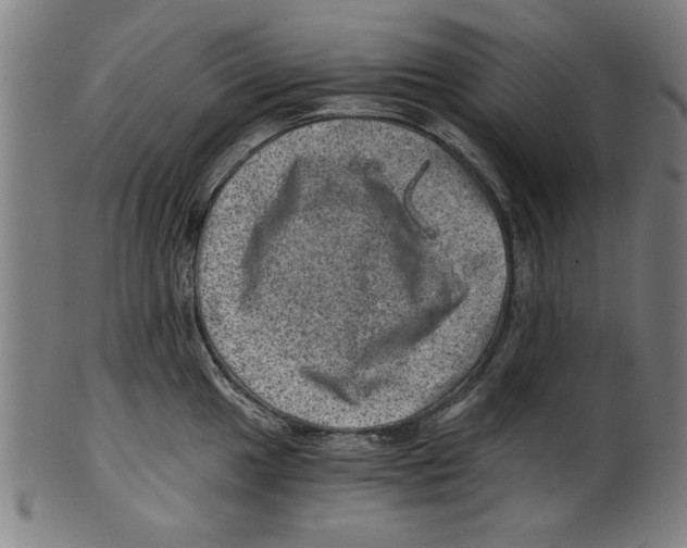 X0000100901049200807220947