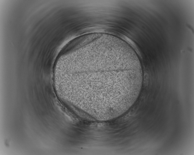 X0000100901051200807220947