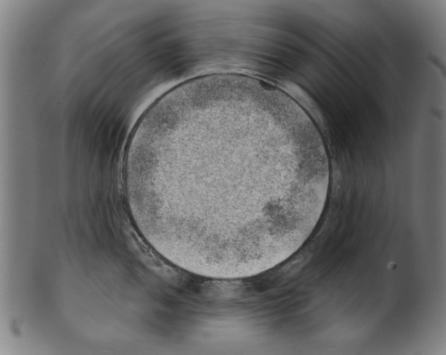 X0000100901052200807220947