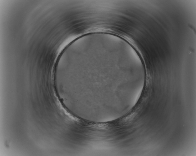 X0000100901053200807220947