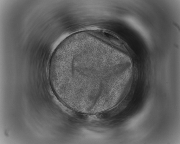 X0000100901054200807220947