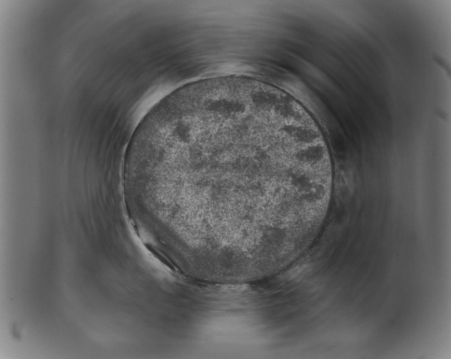 X0000100901055200807220947