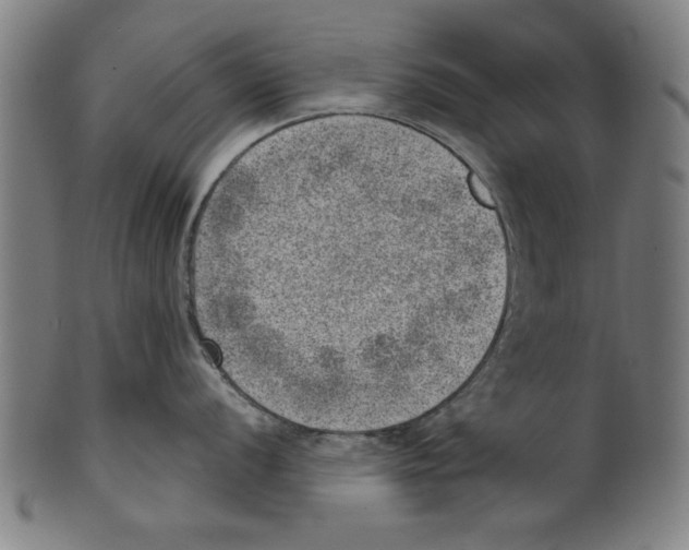 X0000100901056200807220947