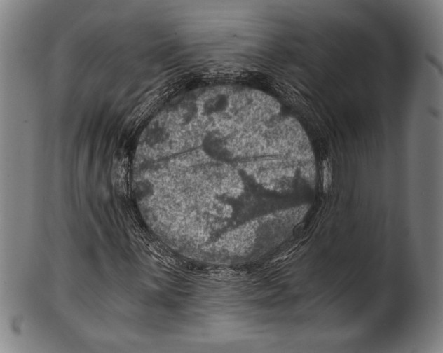 X0000100901059200807220946