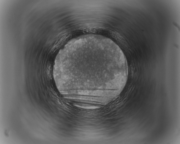 X0000100901060200807220946