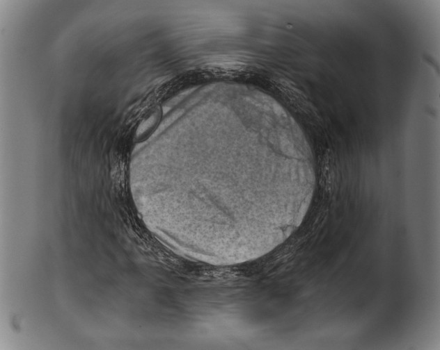 X0000100901061200807220946