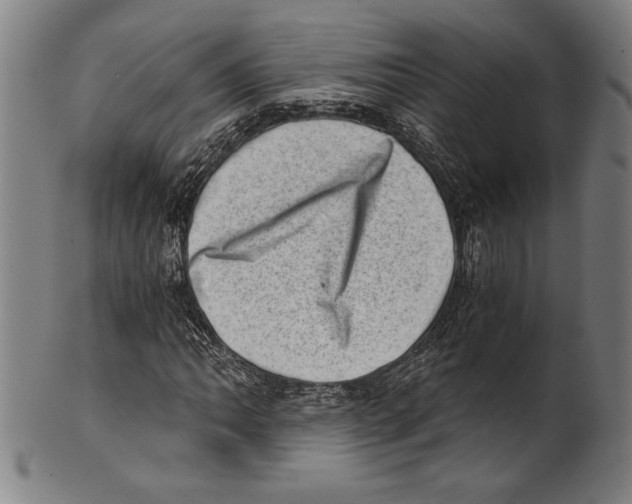 X0000100901062200807220946