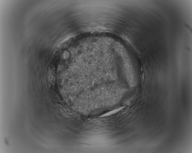 X0000100901063200807220946