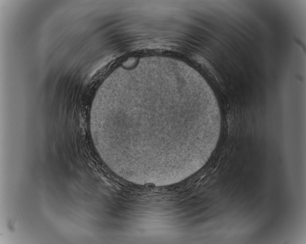 X0000100901064200807220946