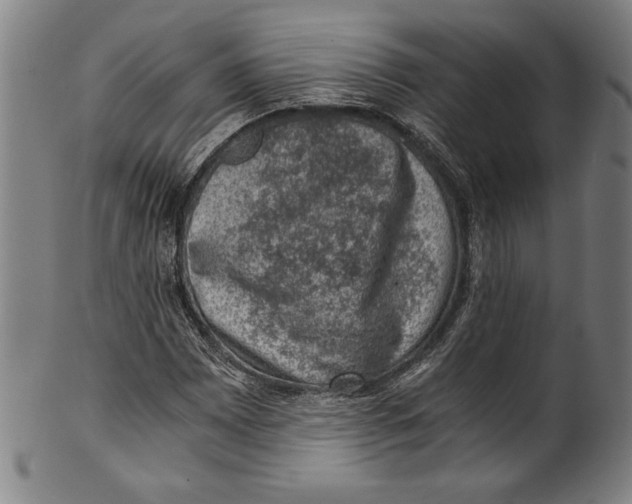 X0000100901065200807220946