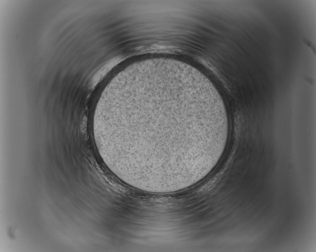 X0000100901066200807220946