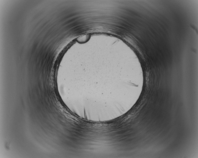 X0000100901068200807220946