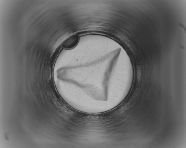 X0000100901069200807220946