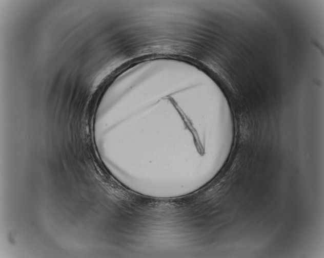 X0000100901070200807220946