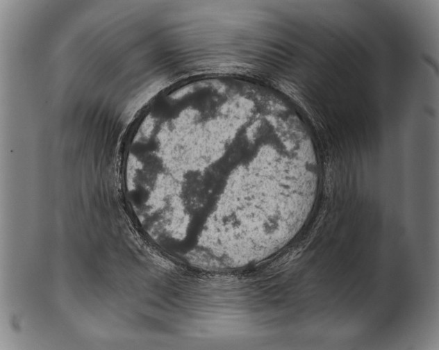 X0000100901071200807220946