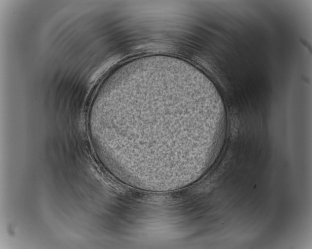 X0000100901074200807220946