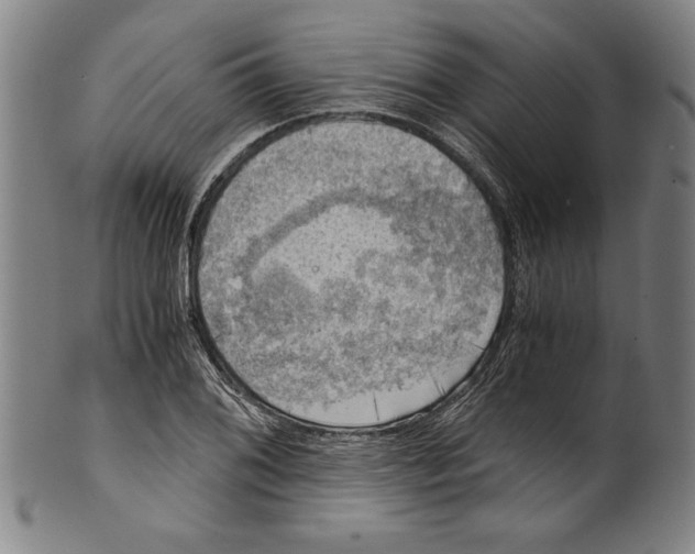 X0000100901076200807220946