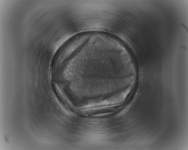 X0000100901077200807220946