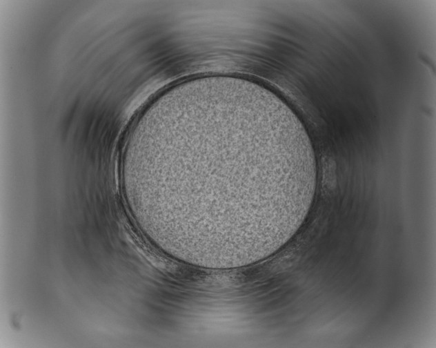 X0000100901078200807220946