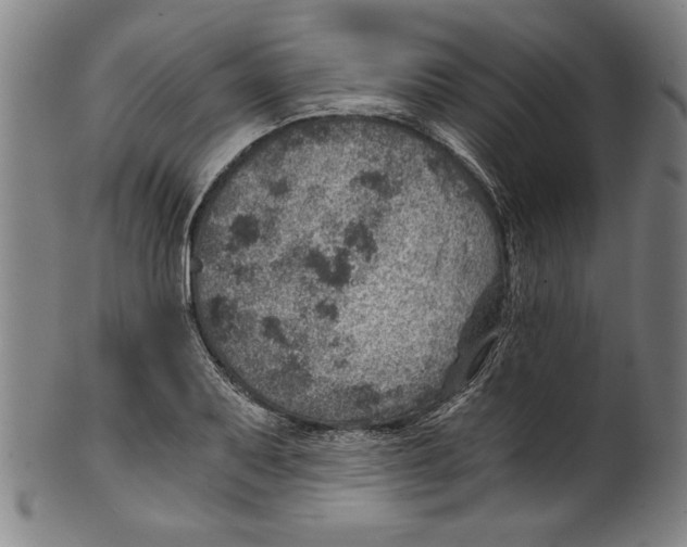 X0000100901079200807220946