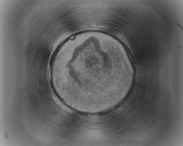 X0000100901080200807220946