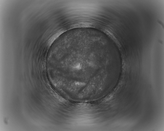 X0000100901081200807220946