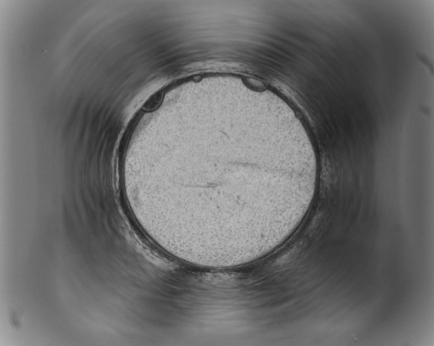 X0000100901082200807220946