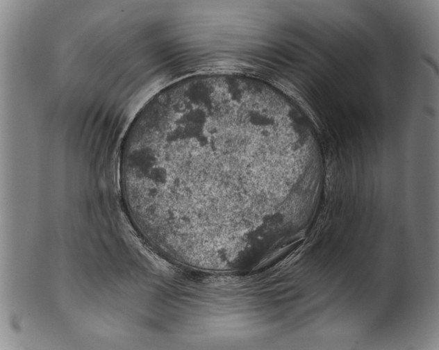 X0000100901083200807220946