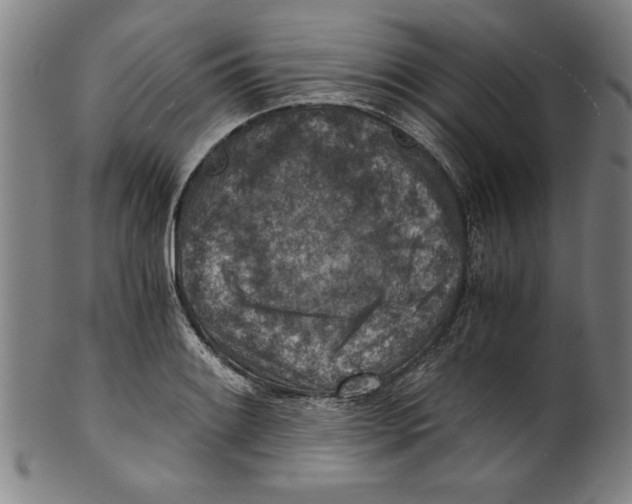 X0000100901084200807220946