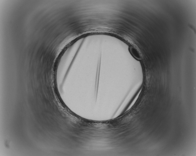 X0000100901085200807220946