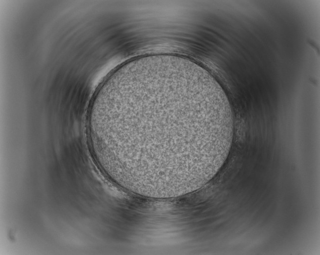 X0000100901086200807220946