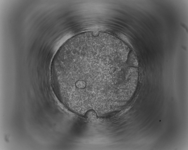 X0000100901087200807220946