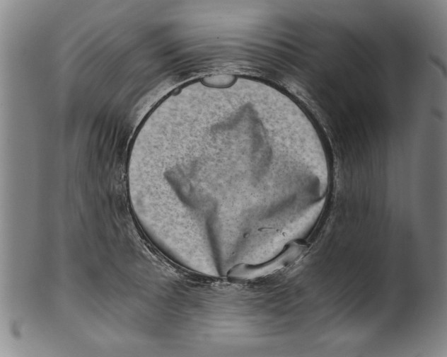 X0000100901089200807220946