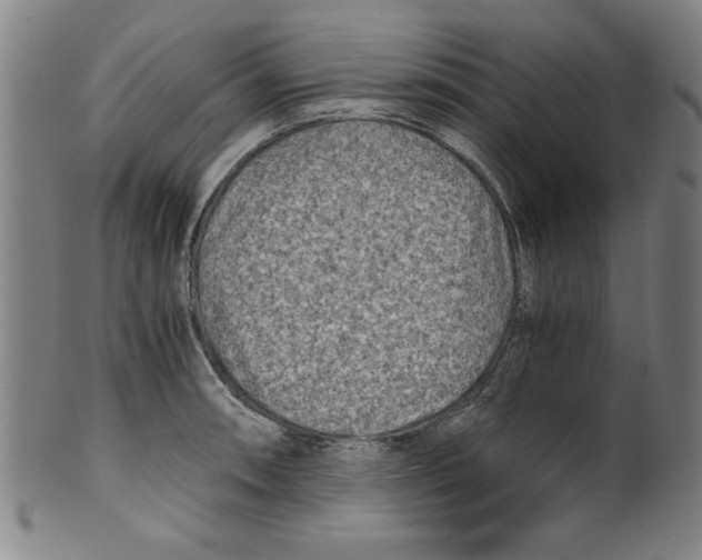 X0000100901090200807220946