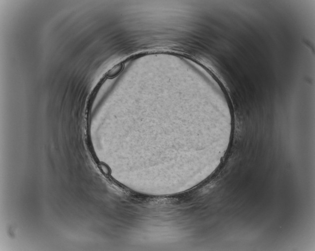 X0000100901093200807220946