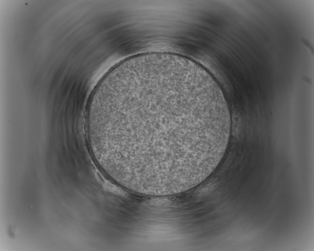 X0000100901094200807220946