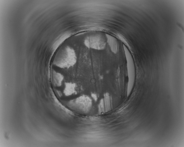 X0000100901095200807220946