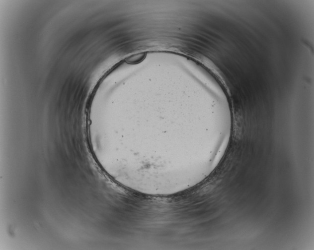 X0000100901096200807220946