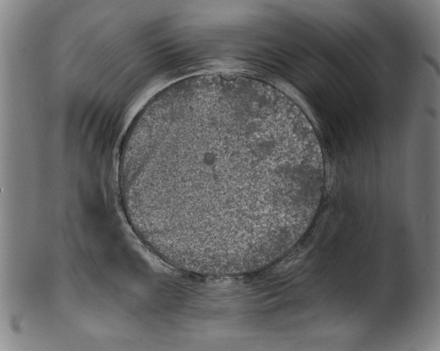 X0000100901099200807220946