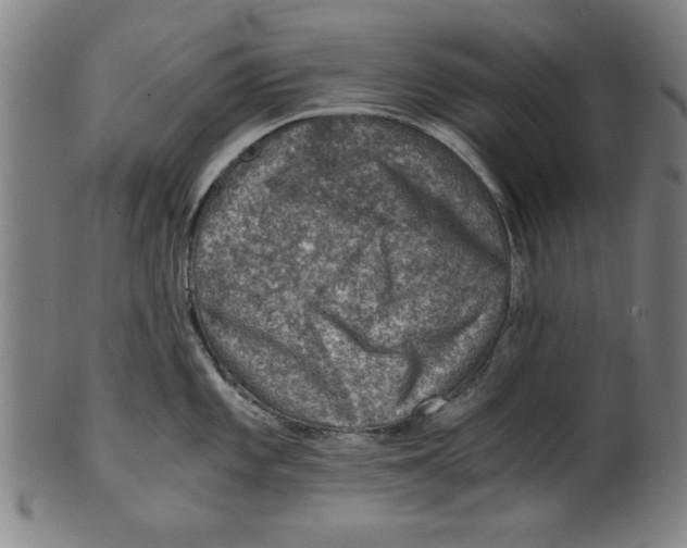 X0000100901101200807220946